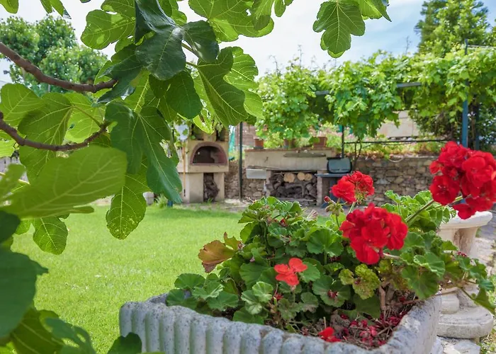 Country Il Passatempo *